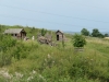 P1040042_k