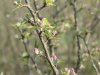 P1030804_k
